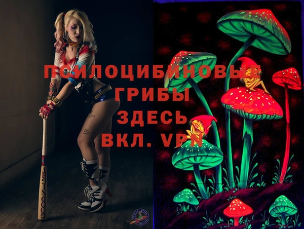 МДПВ Верея