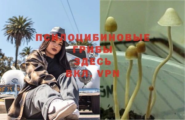 МДПВ Верея