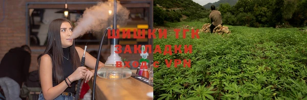 МДПВ Верея