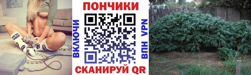 хочу наркоту  Магнитогорск  Канабис OG Kush 